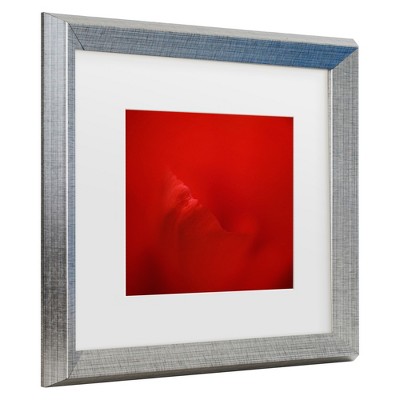 Trademark Fine Art -Lotte Gronkjar 'All Red' Matted Framed Art