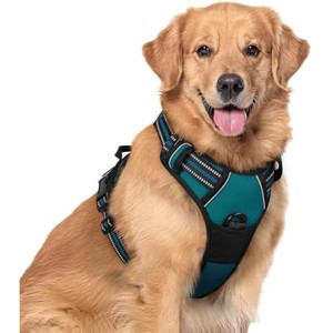 rabbitgoo Dog Harness No Pull with 2 Leash Clips, Adjustable Soft Padded, Reflective Oxford No Choke Pet Vest with Easy , Blue Coral, XL - 1 of 1