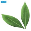 Unique Bargains Faux Durable Lifelike Reusable Artificial Palm Leaves - 3 of 4
