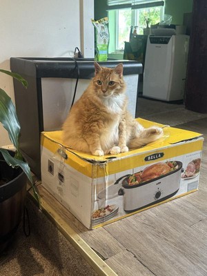 Guest review image 3 of 6, zoom in