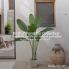 Maia Shop 5ft Bird of Paradise Artificial Plant, Fake Plants for Home Decor, Indoor Tropical Decoration - 2 of 4