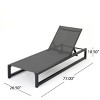 Set of 2 Mesh Chaise Lounge Chairs with Adjustable Backrest and Aluminum Frame, Outdoor Recliners for Poolside or Backyard–The Pop Home - 3 of 4