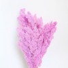 Alilang Decorative Dried Fine Leaf Stems for Home Decoration and Floral Arrangements, 17.7 Inches - 3 of 3