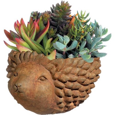 Large Rust Cement Hedgehog Indoor/Outdoor Planter