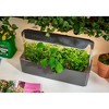 iDesign Countertop Self-Watering Plant Pot Center with Grow Light and 3 Plant Pots, Charcoal - 3 of 4