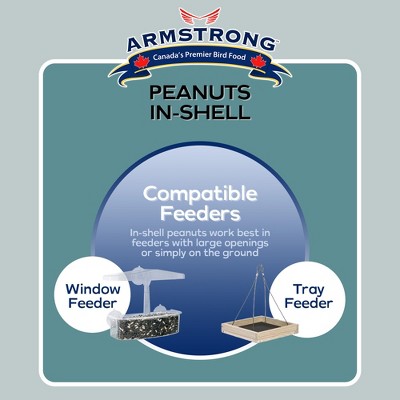 10lb Peanuts-in-Shell Bird and Wildlife Food