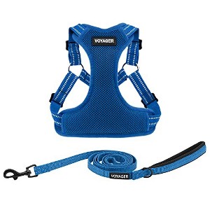 Voyager Step-In Flex All-Weather Adjustable Dog Harness & 5' Leash Set - 1 of 4