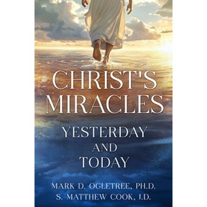 Christ's Miracles: Yesterday and Today - by  Matthew S Cook & Mark Ogletree (Paperback) - 1 of 1