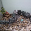 Unique Bargains Coral Reef Decor Mini Faux Coral Decor for Aquarium Decorations 1.69"x1.69" - 2 of 4