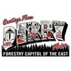 Mens It: Welcome to Derry Forestry Capitol of the East Greetings T Shirt - 2 of 4