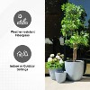 Set of 3 17" Kante Seamless Concrete Planters for Patio & Garden - Rosemead Home & Garden, Inc. - 4 of 4