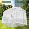 Pop Up Greenhouses for Outdoors, Height Adjustable Walk-In Sturdy Greenhouse with Durable Cover, Tool-Free Quick Setup - 4 of 4