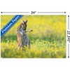 Trends International The Comedy Wildlife Photography Awards: Jason Moore - Air Guitar Roo Unframed Wall Poster Prints - 3 of 4