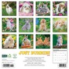 Willow Creek Press 2026 Bunnies Wall Calendar - 2 of 4