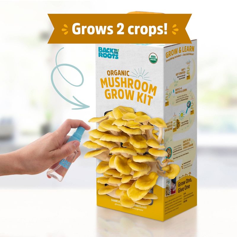 Back to the Roots Organic Mushroom Grow Kit Golden Oyster, 4 of 10