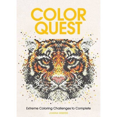 Color Quest - (Paperback)