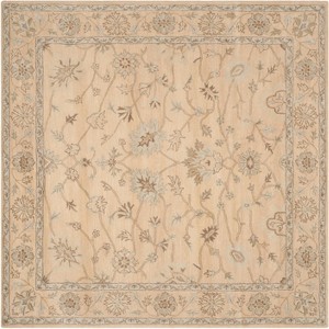 Wyndham WYD205 Hand Tufted Area Rug  - Safavieh - 1 of 4