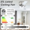 VACZON 52" Silver Modern Smart LED Ceiling Fan with Remote and Lights - 4 of 4