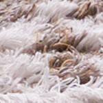 taupe/ivory