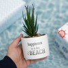 Pavilion Gift Company - Beach - Artificial Potted Plant - Artificial Plants - 4 of 4