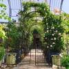 ACEPANO 86.6 in. H Outdoor Climbing Plants Support Metal Garden Rose Arch with Gate-Black - 4 of 4