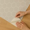 Veer Decor Striped Hexagonal Mosaic Peel and Stick Wallpaper - 3 of 4