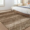 Area Rugs for Living Room Machine Washable Rug Distressed Indoor Carpet - 3 of 4
