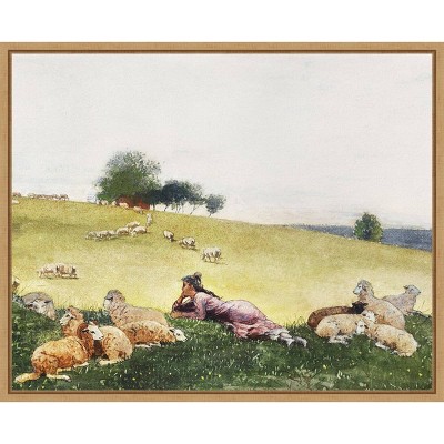 Homers Sheep Countryside II 28"x23" Brown Floater Frame Canvas Print