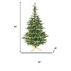 HomeRoots 5' Pre Lit Full Fir Christmas Tree - 3 of 4