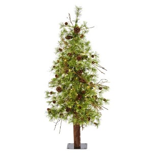 4ft Nearly Natural Pre-Lit LED Wyoming Alpine with Pinecones Artificial Christmas Tree Clear Lights - 1 of 4