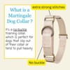 Country Brook Petz Martingale Heavyduty Training Collar with No Buckle - Service Collar for All Dogs - Vibrant, Colorful Collection - 3 of 4