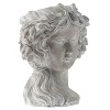Okak Greek Style Cement Head Planter Classic Sculptural Flower Pot for Indoor & Outdoor Garden Decor,6 Different Sizes - 3 of 4