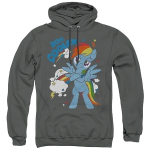 My Little Pony Tv 20 Percent Cooler Adult Pull-Over Hoodie - 1 of 4