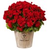 Nearly Natural Geranium Silk Flowering Plant in Farmhouse Planter UV Resistant (Indoor/Outdoor), Beauty - 3 of 4
