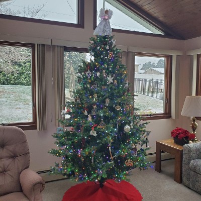 Guest review image 1 of 1, zoom in