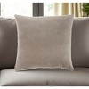 HomeRoots Taupe Soft Velvet Accent Throw Pillow - 2 of 4