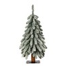 2ft Haute Decor Pre-Lit Lightly Flocked Alpine Artificial Christmas Tree - 2 of 3