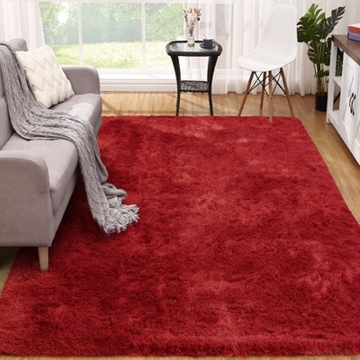 Plush Fuzzy Rugs Ultra Soft Fluffy Furry Rugs Non Slip Non Shedding Area Rug Indoor Carpet Nursery Rugs for Kids Room Bedroom Home Decor