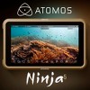 Atomos Ninja 5.2 Inch 1000nit HDR Monitor Recorder with Accessory Kit Bundle - 2 of 4