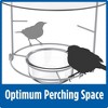 Nature's Way 6oz Bluebird Buffet Novelty Bird Feeder: Metal, Weather-Resistant, No Assembly Required - 4 of 4