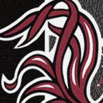 south carolina gamecocks