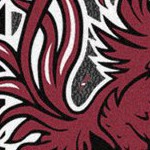 south carolina gamecocks