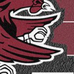 south carolina gamecocks