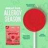 The Eez Co. Lolleez Organic Throat Soothing Pops - Watermelon, Strawberry & Orange Mango - 15ct - 3 of 4