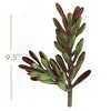 Floral Home 9.5" Echeveria Spray - 24-Piece - 2 of 2