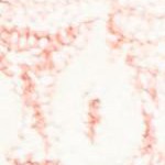 light pink/ivory