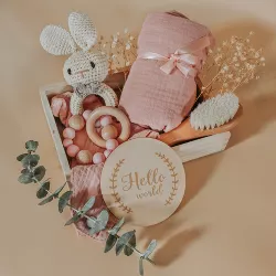 embe Newborn Girl Baby Shower Gift Box, Pink Bunny