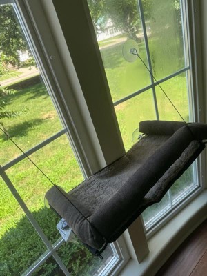 Guest review image 4 of 4, zoom in