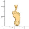Black Bow Jewelry 14k Yellow Gold North Carolina Tar Heels NCAA Large Pendant - 2 of 3