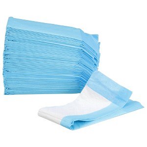 McKesson Disposable Procedure Underpad 12 W X 17 L Inch 16-16653 500 pads - 1 of 4